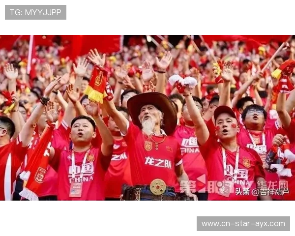 球员自述复出艰辛：训练点滴感动球迷